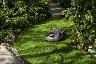A robotic lawn mower operating in a lush garden setting with stone steps.