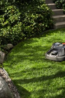 Un robot tagliaerba che opera in un giardino lussureggiante con gradini in pietra.