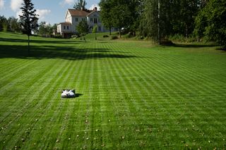 A well-maintained lawn with a large house in the background, surrounded by trees.
