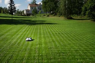 A well-maintained lawn with a large house in the background, surrounded by trees.