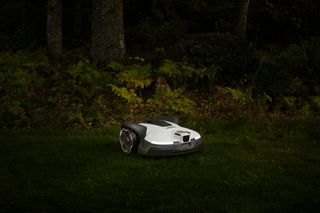 Mähroboter, der in einem schwach beleuchteten Garten arbeitet.