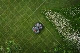 Robotgräsklippare som arbetar på en gräsmatta med ett rutnät och vita blommor i närheten.