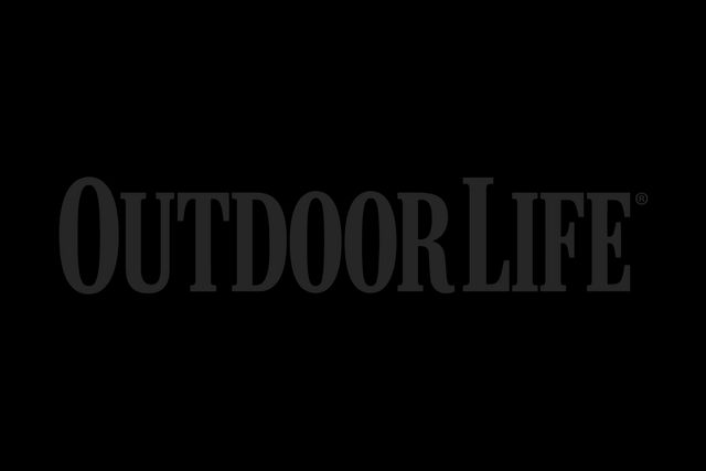 Wordmark logo reading “OUTDOORLIFE” in bold serif letters.