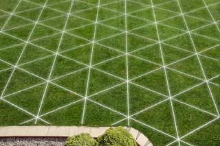 Une pelouse bien entretenue avec un quadrillage géométrique, adjacente à une zone pavée.