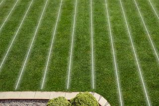 Une pelouse bien entretenue avec des lignes blanches parallèles, bordée d’un chemin de pierres et d’arbustes.