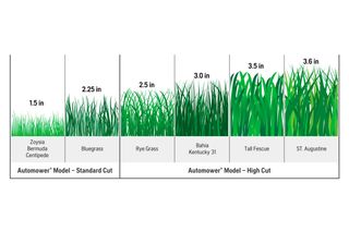 Comparison of grass heights for different Automower models, showing various grass types and their cut heights.