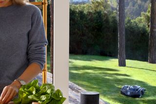A person preparing vegetables in a kitchen with a robotic lawn mower operating in the garden outside.