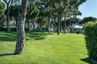 Une pelouse bien entretenue entourée de grands arbres dans le cadre d’un parc.