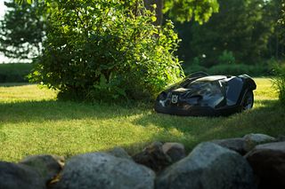 Robotplæneklipper, der arbejder i en have nær en busk og klipper.