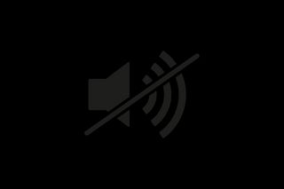 Icône représentant un haut-parleur en sourdine avec une ligne traversant les ondes sonores.