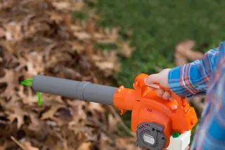 A person using a leaf blower to clear fallen leaves in a garden.