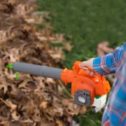 A person using a leaf blower to clear fallen leaves in a garden.