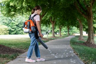 Une personne utilise un souffleur de feuilles pour nettoyer les feuilles mortes dans l’allée d’un parc.