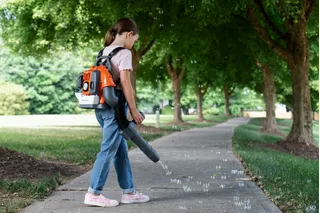 A person using a leaf blower to clear fallen leaves on a park pathway.