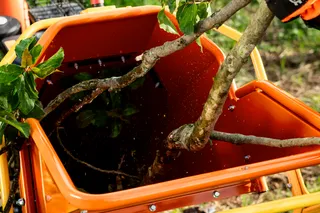 Triturador de Galhos Husqvarna GC 5100PE. Um galho de árvore sendo alimentado em um picador de madeira em um ambiente de jardim.