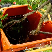 Triturador de Galhos Husqvarna GC 5100PE. Um galho de árvore sendo alimentado em um picador de madeira em um ambiente de jardim.