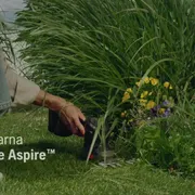 Hybrid film Aspire Shrub Shear C20-P4A 6S 16x9 FR