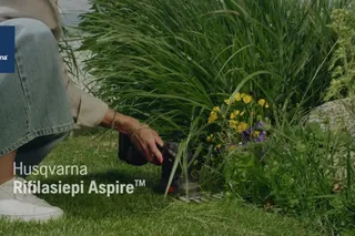 Hybrid film Aspire Shrub Shear S20-P4A 6S 16x9 CH IT