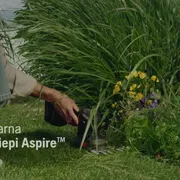 Hybrid film Aspire Shrub Shear S20-P4A 6S 16x9 CH IT