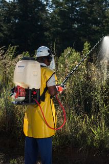 A person using a backpack sprayer to apply liquid to tall grass in an outdoor setting.