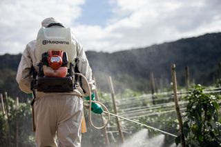 A person in work gear using a Husqvarna backpack sprayer in a field.