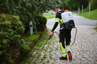 Eine Person, die ein Rückenspritzgerät verwendet, um einen Kopfsteinpflasterweg in einer Parkanlage zu behandeln.