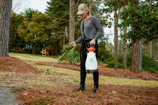A person using a garden sprayer to apply liquid in a landscaped garden.