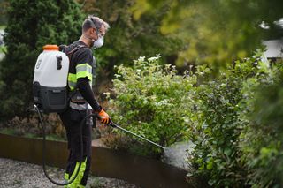 Eine Person, die ein Rückenspritzgerät verwendet, um Pflanzen in einem Garten zu behandeln.