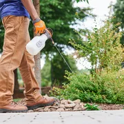 Une personne qui utilise un pulvérisateur de jardin pour appliquer un liquide sur les plantes d’un espace paysager.