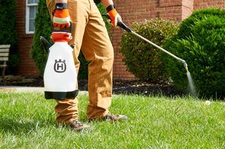 A person using a sprayer to apply liquid on grass in a garden setting.