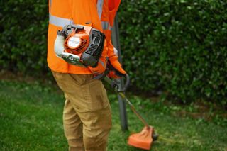 A person using a trimmer to cut grass along a hedge.