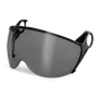 Front view of protective eyewear with tinted lenses.