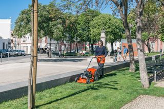 A person mowing grass in a public park setting with a lawn mower.