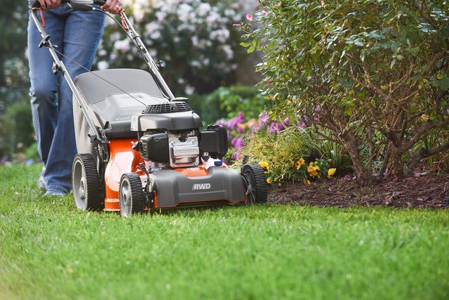 A person mowing lawn with a push mower in a garden setting.