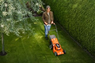 A person mowing a lawn with a push mower in a garden surrounded by hedges.