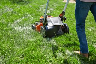 A person mowing a lawn with a push mower, focusing on the grass being cut.