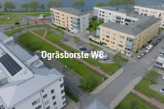 WB 560i Ogräsborste, funktion och fördel 16x9 SE