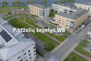 WB 560i Piktžolių šepetys, Savybė/nauda, 1:53, 16x9 - LT