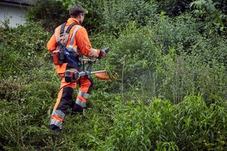 A person using a brush cutter to clear dense vegetation on a slope.