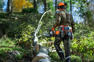 En person i arbetskläder som går i en skog med en motorsåg och verktyg, med ett nedfallet träd i bakgrunden.