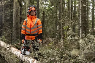 En person i arbetskläder med skyddshjälm som använder en motorsåg på ett nedfallet träd i en skog.