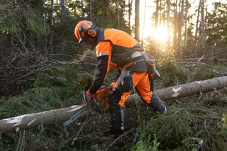 Une personne utilise une tronçonneuse pour couper un arbre tombé dans un environnement forestier.