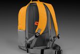 Rückansicht eines Rucksacks mit verstellbaren Gurten und einem Netzrückenteil.