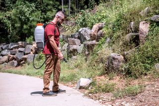A person using a backpack sprayer to treat weeds along a stone wall.