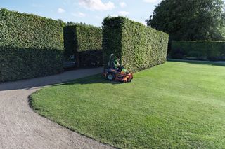 A person mowing a large garden lawn with a ride-on mower, surrounded by tall hedges.