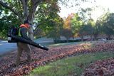 A person using a leaf blower to clear fallen leaves in a park setting.