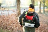 A person using a backpack leaf blower to clear fallen leaves in a park setting.