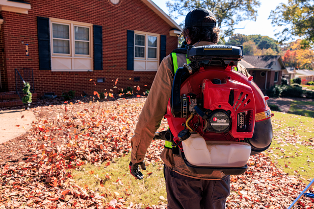 A person using a backpack leaf blower to clear fallen leaves in a residential yard.