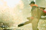 A person using a leaf blower to clear fallen leaves in a park setting.