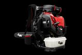 Side view of a backpack leaf blower with visible fuel tank and control panel.